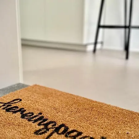 B71 - Im Herzen Des Schwarzwalds