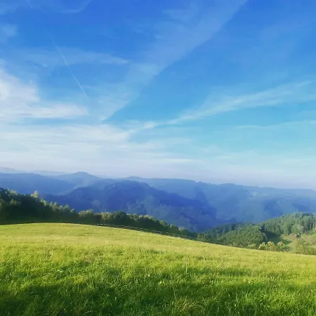 B71 - Im Herzen Des Schwarzwalds Διαμέρισμα